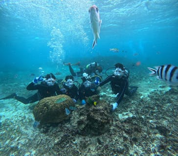 青の洞窟専門店　沖縄ダイビングショップ和に投稿された画像（2024/11/22）