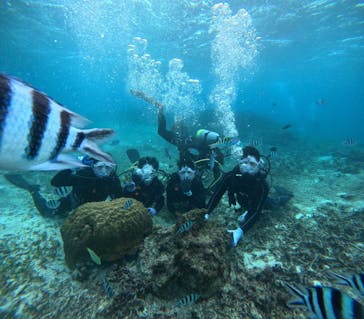 青の洞窟専門店　沖縄ダイビングショップ和に投稿された画像（2024/11/22）