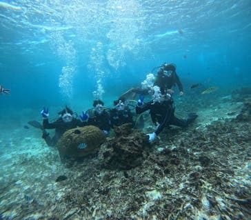 青の洞窟専門店　沖縄ダイビングショップ和に投稿された画像（2024/11/22）