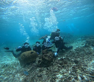 青の洞窟専門店　沖縄ダイビングショップ和に投稿された画像（2024/11/22）