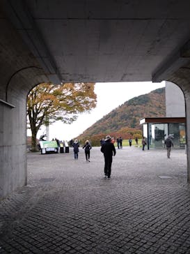 彫刻の森美術館に投稿された画像（2024/11/22）