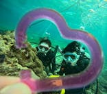 青の洞窟専門店　沖縄ダイビングショップ和に投稿された画像（2024/11/22）