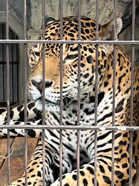 名古屋市東山動植物園に投稿された画像（2024/11/22）