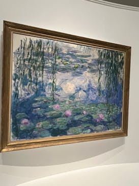 モネ 睡蓮のとき（国立西洋美術館）に投稿された画像（2024/11/22）