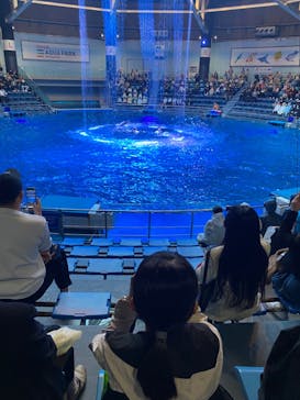 マクセル アクアパーク品川に投稿された画像（2024/11/22）