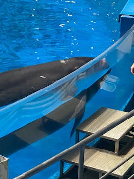 マクセル アクアパーク品川に投稿された画像（2024/11/22）