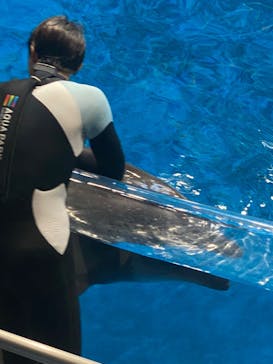 マクセル アクアパーク品川に投稿された画像（2024/11/22）