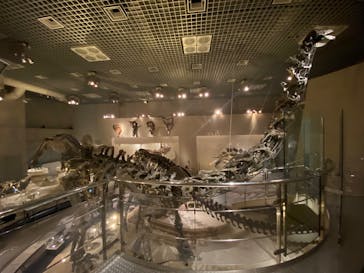 国立科学博物館に投稿された画像（2024/11/22）