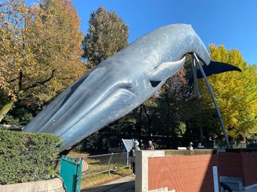 国立科学博物館に投稿された画像（2024/11/22）