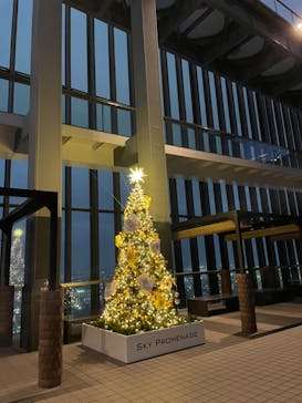 屋外展望台スカイプロムナードに投稿された画像（2024/11/22）