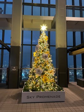 屋外展望台スカイプロムナードに投稿された画像（2024/11/22）