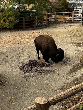 名古屋市東山動植物園に投稿された画像（2024/11/22）