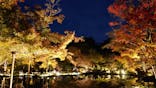 国営昭和記念公園 秋の夜散歩に投稿された画像（2024/11/22）