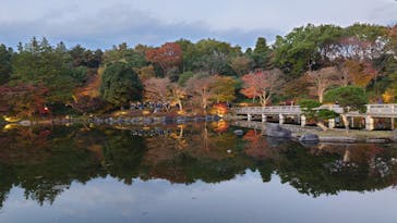 国営昭和記念公園 秋の夜散歩に投稿された画像（2024/11/22）