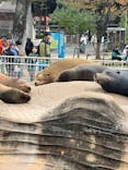 名古屋市東山動植物園に投稿された画像（2024/11/22）
