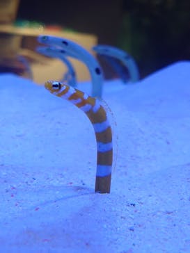 マリンワールド海の中道に投稿された画像（2024/11/22）