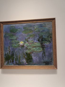 モネ 睡蓮のとき（国立西洋美術館）に投稿された画像（2024/11/22）