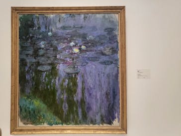 モネ 睡蓮のとき（国立西洋美術館）に投稿された画像（2024/11/22）
