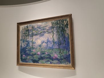 モネ 睡蓮のとき（国立西洋美術館）に投稿された画像（2024/11/22）
