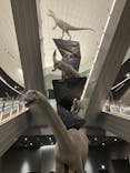 福井県立恐竜博物館に投稿された画像（2024/11/22）