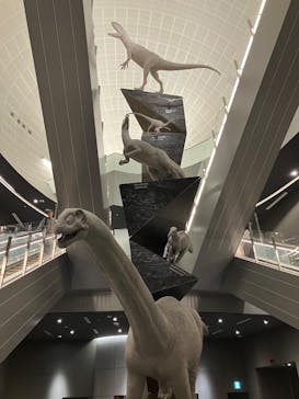 福井県立恐竜博物館に投稿された画像（2024/11/22）