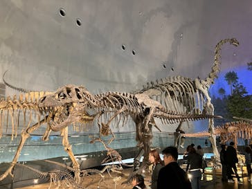 福井県立恐竜博物館に投稿された画像（2024/11/22）