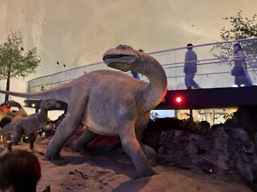 福井県立恐竜博物館に投稿された画像（2024/11/22）