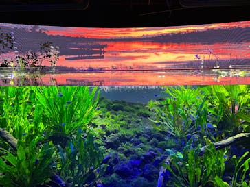 カワスイ 川崎⽔族館に投稿された画像（2024/11/22）