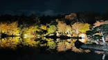 国営昭和記念公園 秋の夜散歩に投稿された画像（2024/11/22）