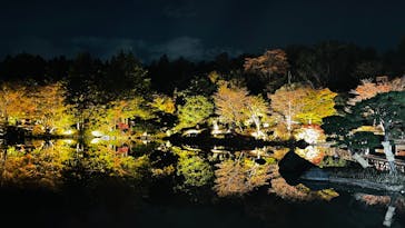 国営昭和記念公園 秋の夜散歩に投稿された画像（2024/11/22）