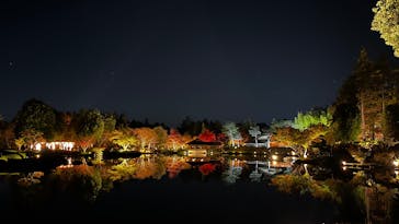 国営昭和記念公園 秋の夜散歩に投稿された画像（2024/11/22）