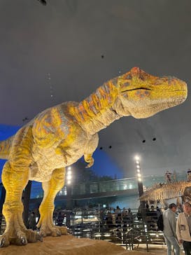 福井県立恐竜博物館に投稿された画像（2024/11/22）