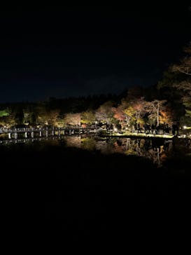 国営昭和記念公園 秋の夜散歩に投稿された画像（2024/11/22）