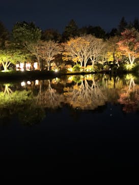 国営昭和記念公園 秋の夜散歩に投稿された画像（2024/11/22）