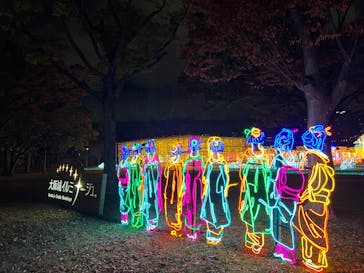 大阪城イルミナージュに投稿された画像（2024/11/22）