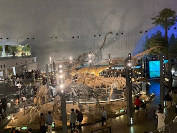 福井県立恐竜博物館に投稿された画像（2024/11/22）