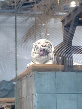 NIFREL（ニフレル）に投稿された画像（2024/11/22）