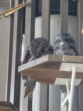 NIFREL（ニフレル）に投稿された画像（2024/11/22）