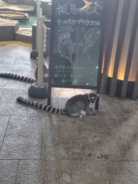 NIFREL（ニフレル）に投稿された画像（2024/11/22）