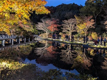 国営昭和記念公園 秋の夜散歩に投稿された画像（2024/11/22）