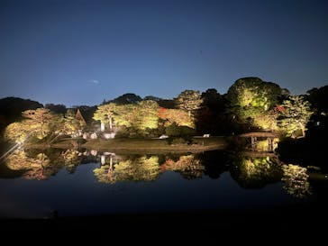 六義園に投稿された画像（2024/11/22）