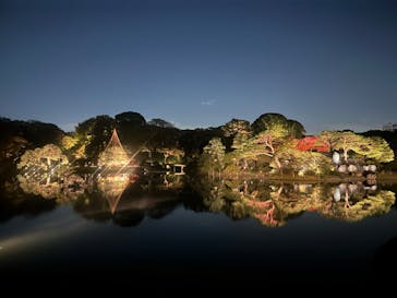 六義園に投稿された画像（2024/11/22）