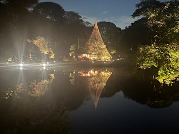 六義園に投稿された画像（2024/11/22）