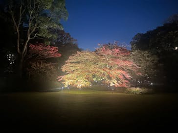 六義園に投稿された画像（2024/11/22）