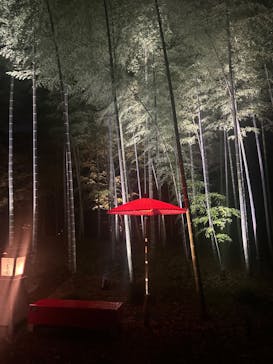 六義園に投稿された画像（2024/11/22）