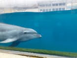 越前松島水族館に投稿された画像（2024/11/22）