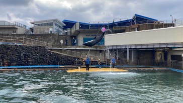 越前松島水族館に投稿された画像（2024/11/22）