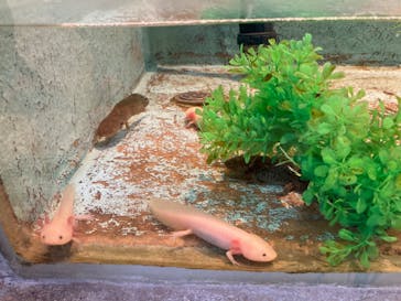 越前松島水族館に投稿された画像（2024/11/22）