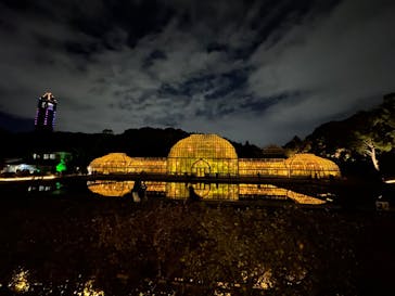 名古屋市東山動植物園に投稿された画像（2024/11/22）