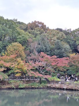 名古屋市東山動植物園に投稿された画像（2024/11/22）